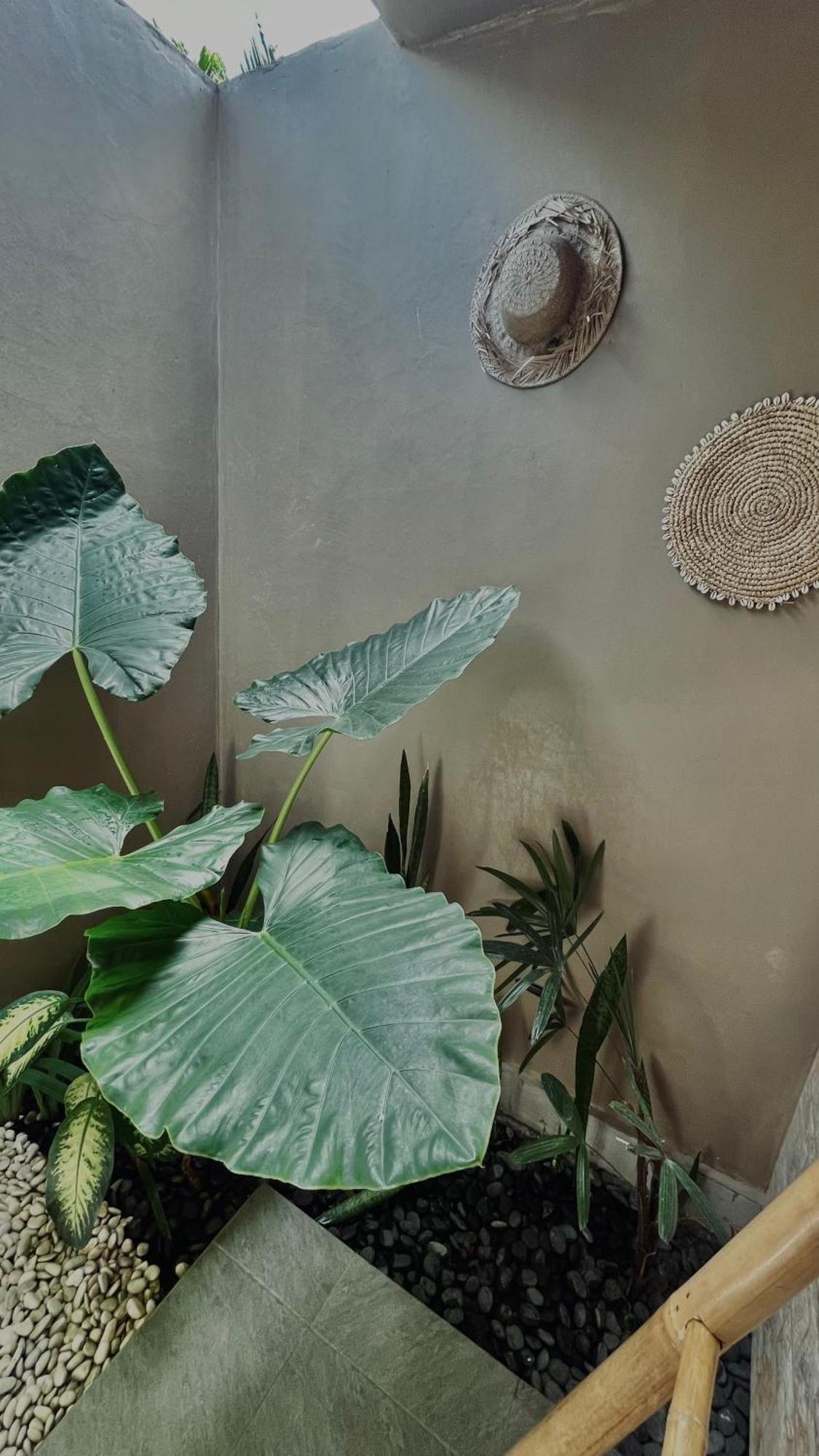 Papahan Bali 시데멘 외부 사진