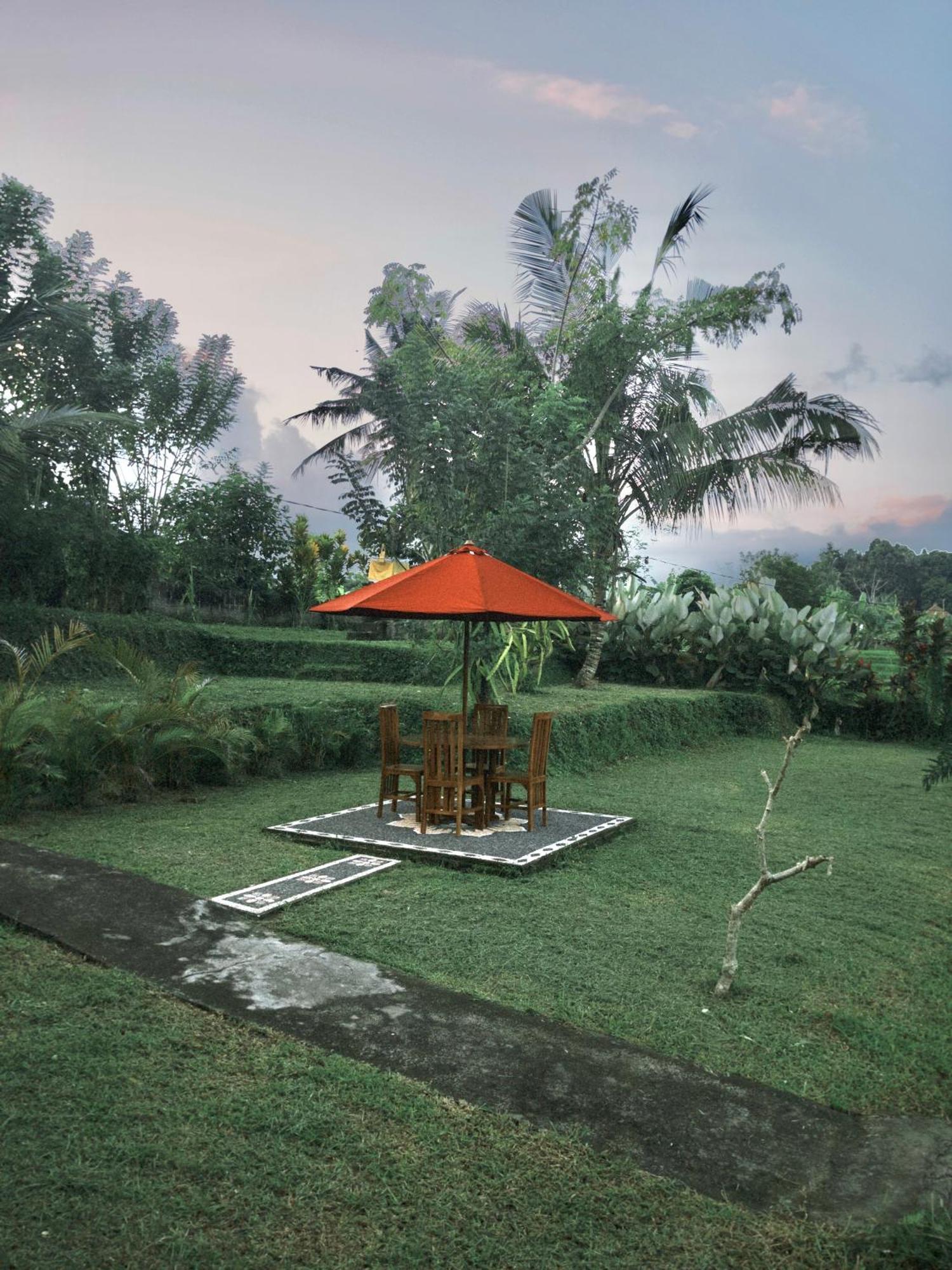 Papahan Bali 시데멘 외부 사진