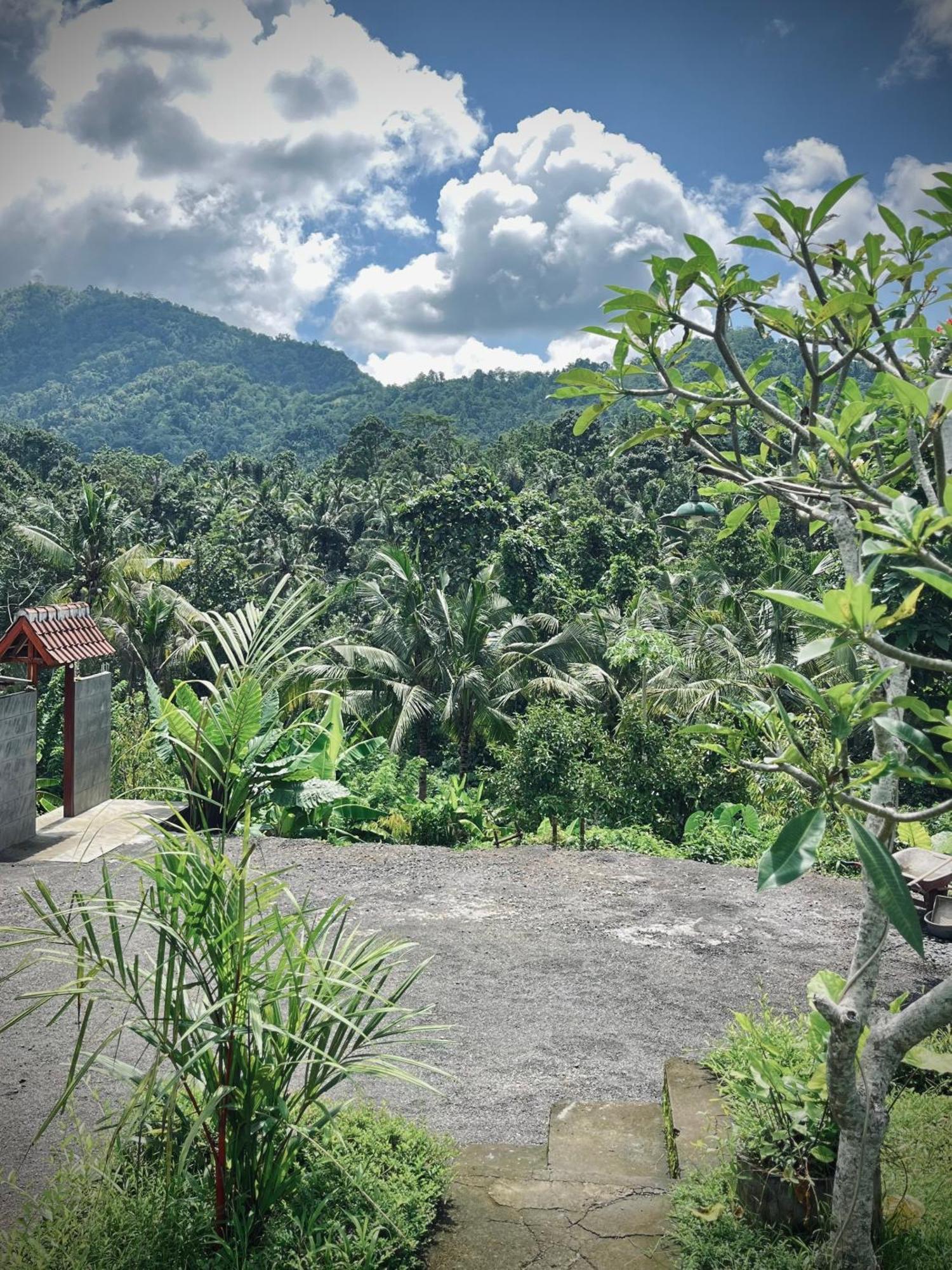 Papahan Bali 시데멘 외부 사진